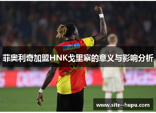 菲奥利奇加盟HNK戈里察的意义与影响分析 菲奥利奇加盟HNK戈里察的意义与影响分析