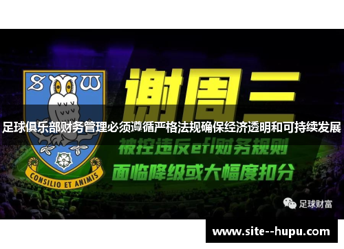 足球俱乐部财务管理必须遵循严格法规确保经济透明和可持续发展
