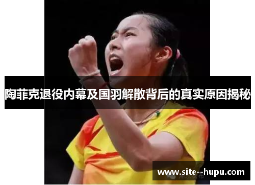 陶菲克退役内幕及国羽解散背后的真实原因揭秘