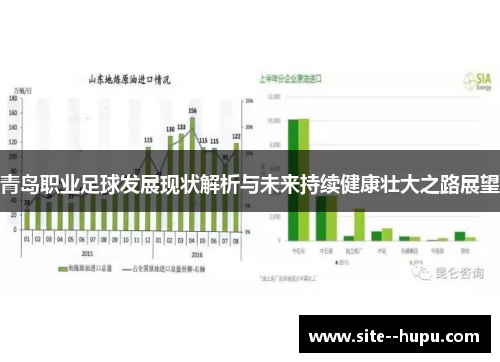 青岛职业足球发展现状解析与未来持续健康壮大之路展望