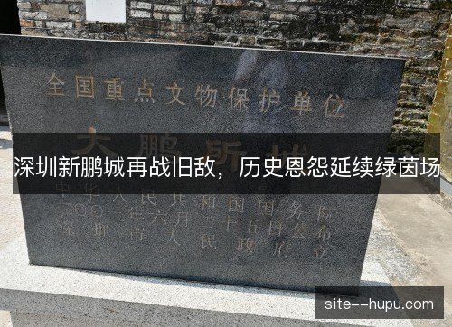 深圳新鹏城再战旧敌,历史恩怨延续绿茵场 深圳新鹏城再战旧敌,历史恩怨延续绿茵场